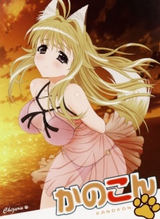 Kanokon: Manatsu no Dai Shanikusai Specials cover art
