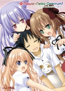 Mayoi Neko Overrun! Specials cover art