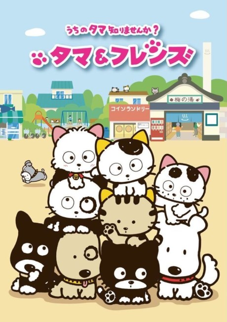 Tama & Friends: Uchi no Tama Shirimasen ka? cover art