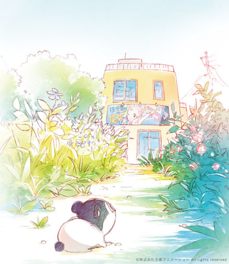 Baja's Studio cover art