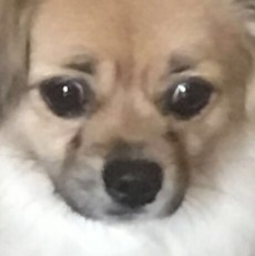 Biti